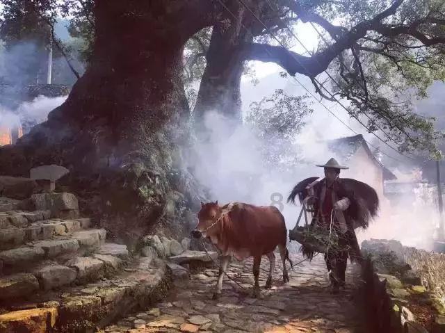 逗小猴开心系列189