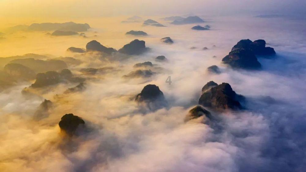 维港环保科技(01845.HK)：张维仰将辞任执行董事